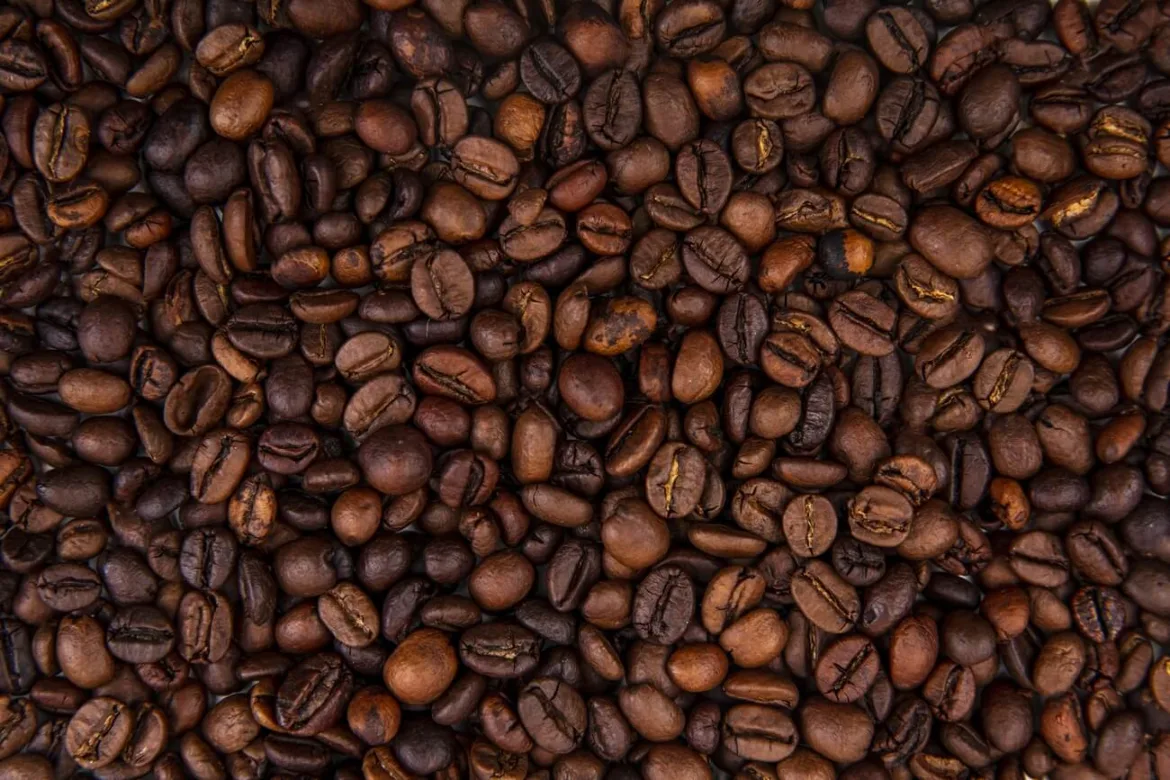 Kawa ziarnista – jak wybrać najlepszą dla siebie?