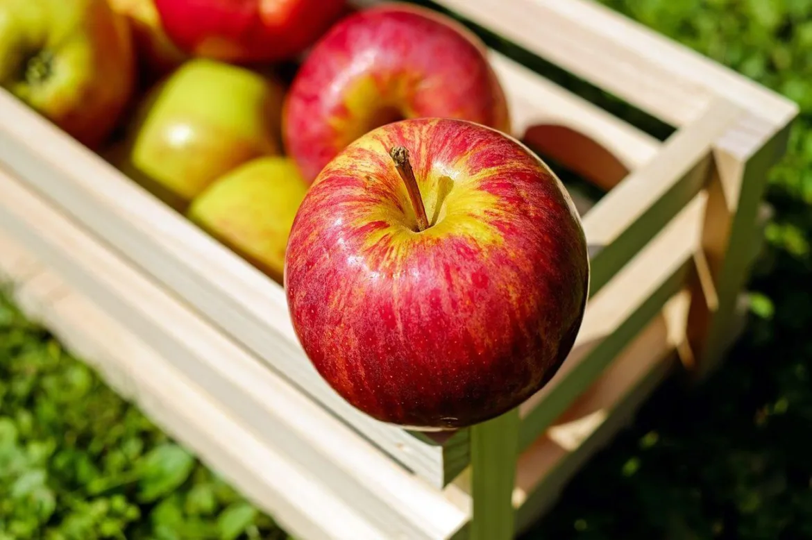 Przepis na dobry domowy ocet jabłkowy — jak zrobić go samodzielnie?